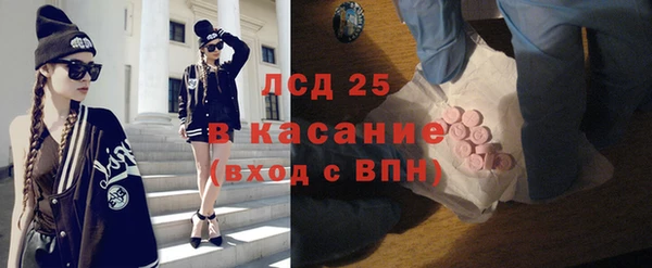прущий лед Алзамай