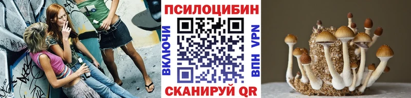 закладка  Андреаполь  Галлюциногенные грибы Magic Shrooms 