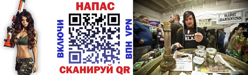 Каннабис MAZAR Андреаполь